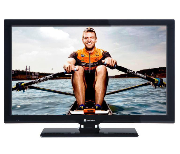Gogen TV GOGEN 22 TVF22P202T # - 1379080 - zdjęcie